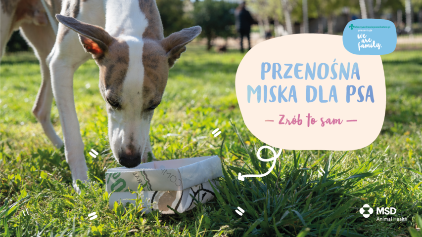 Zrób to sam - przenośna miska dla psa