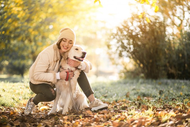 Pchły i kleszcze zimą i jesienią - jak chronić psa przed ektopasożytami w chłodne dni?